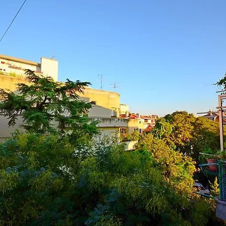 Maestro Duplex Istarska