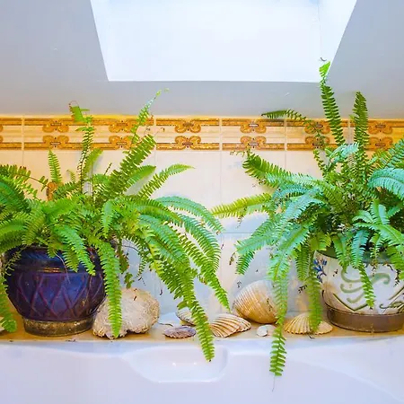 Apartamento Maestro Duplex Istarska *