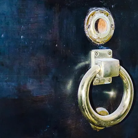 Maestro Duplex Istarska *