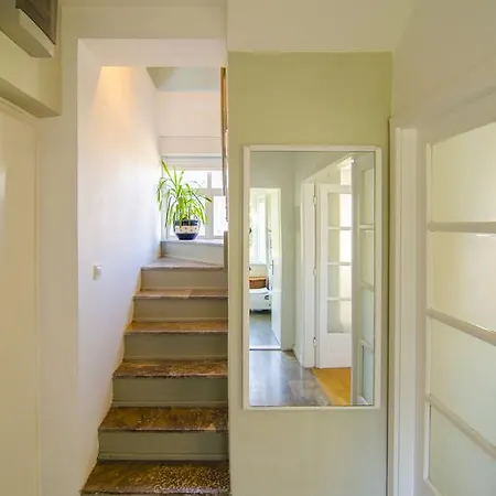 Maestro Duplex Istarska