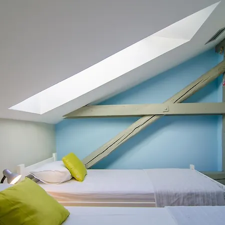 Maestro Duplex Istarska *