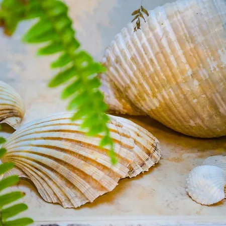 Maestro Duplex Istarska Apartman Split