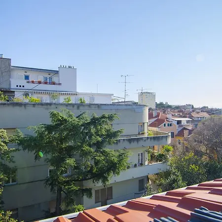 Maestro Duplex Istarska
