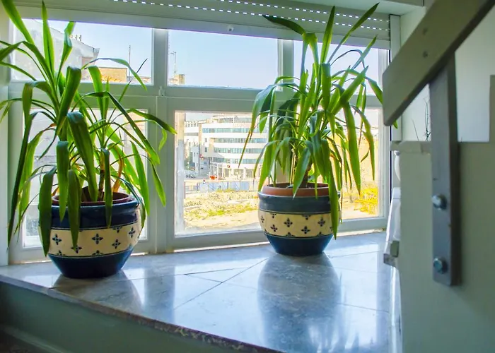 마에스트로 이스타르스카 아파트먼트