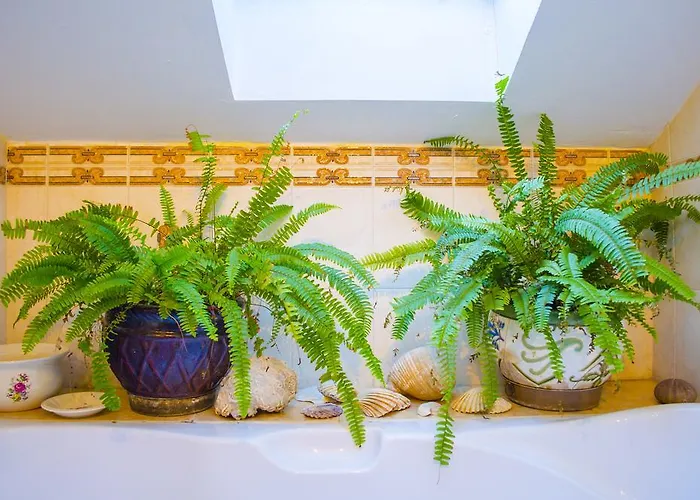 아파트 마에스트로 이스타르스카 아파트먼트 *