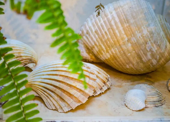 마에스트로 이스타르스카 아파트먼트 아파트 스플리트